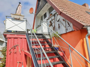 Lachmöwe in Wieck Am Darß